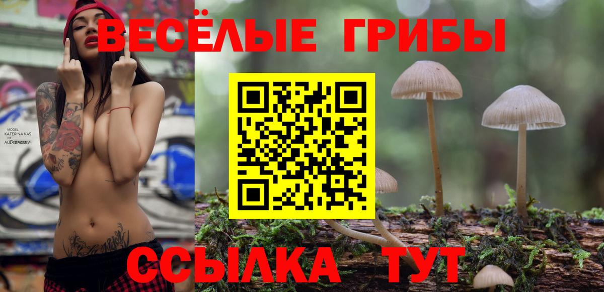 Фролово  Галлюциногенные грибы GOLDEN TEACHER  Галлюциногенные грибы ЛСД  Вход с VPN 